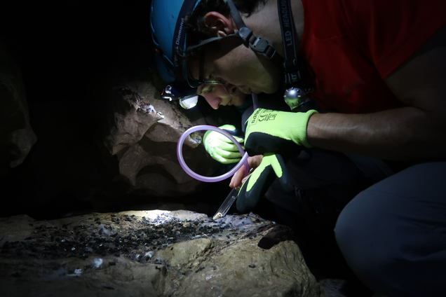 Citizen scientists with Taxon expeditions collect beetles in a cave.